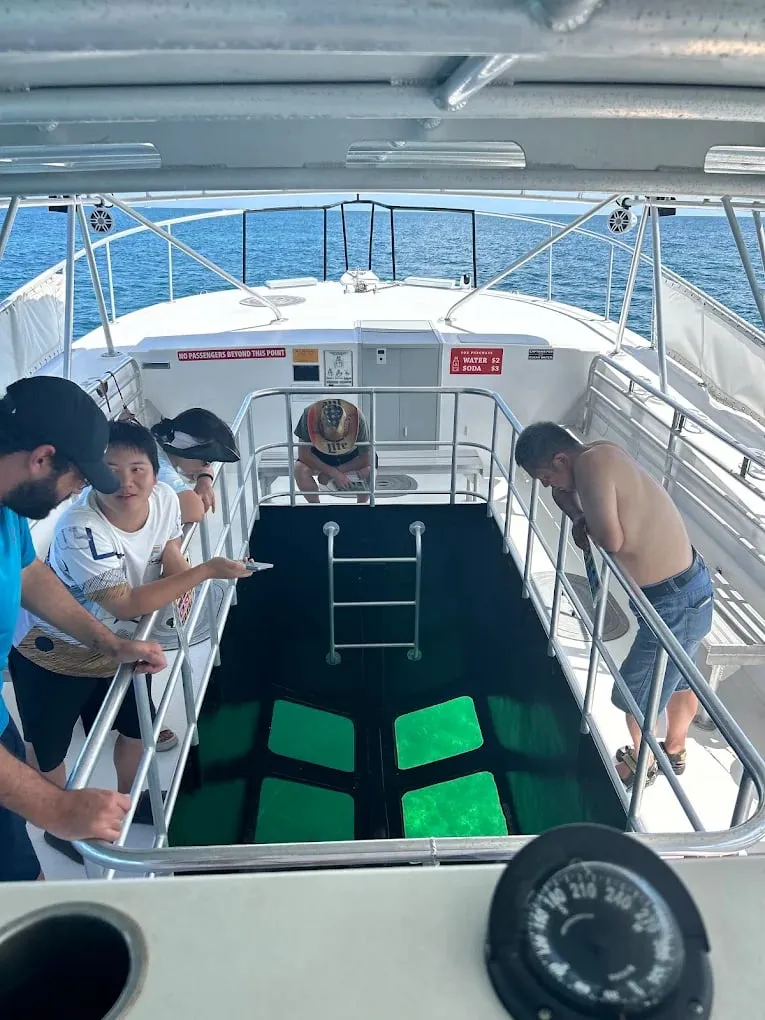 Guests around the glass viewing well on the deck of the Transparensea