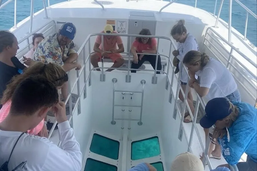 Guests leaning over the rail of the open viewing well to look down through the glass