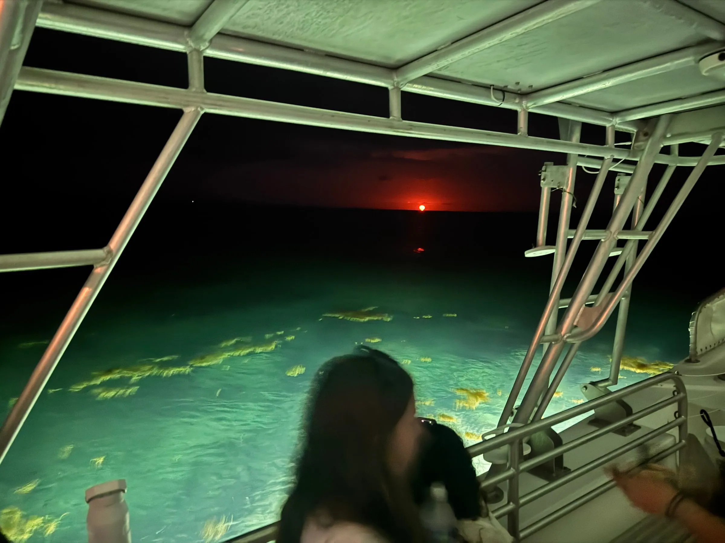 Seagrass lit up by the boat lights just after sunset, with the last light on the horizon