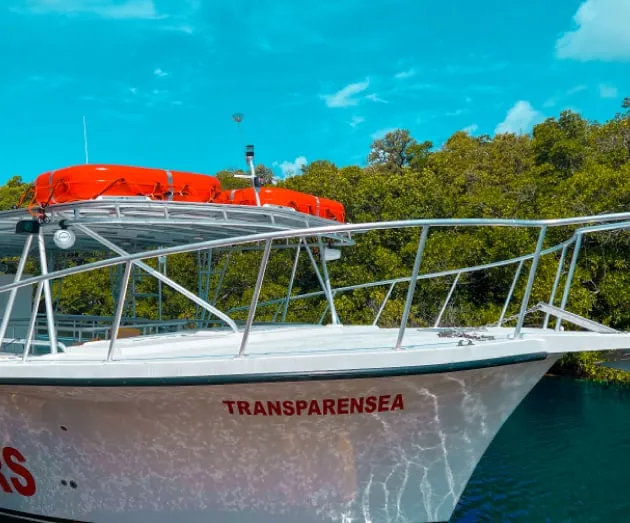 Bow of the Transparensea with its name painted on the hull, mangroves behind