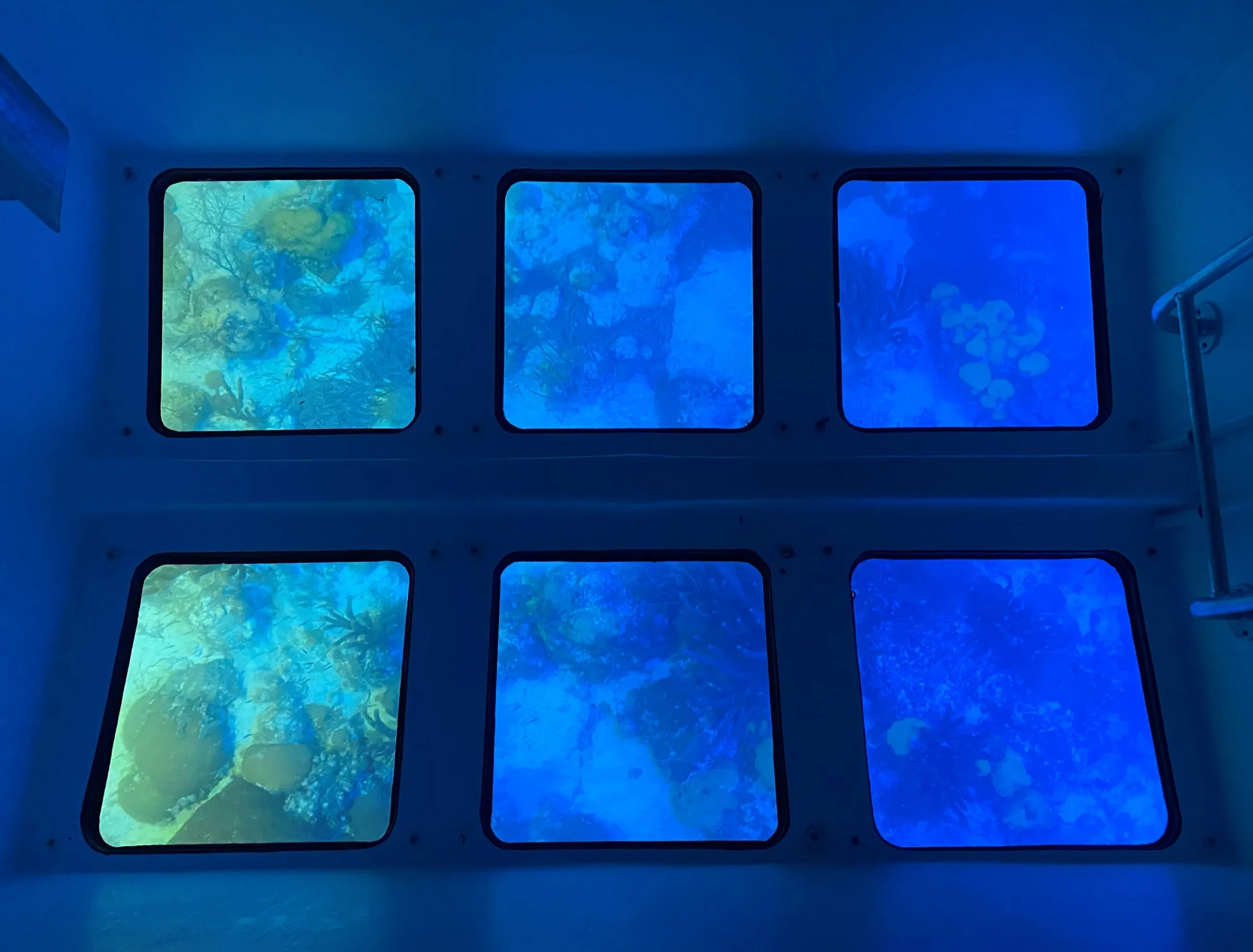 Coral and reef visible through the glass viewing windows in the hull of the Transparensea