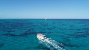 Glass Bottom Boat Tour