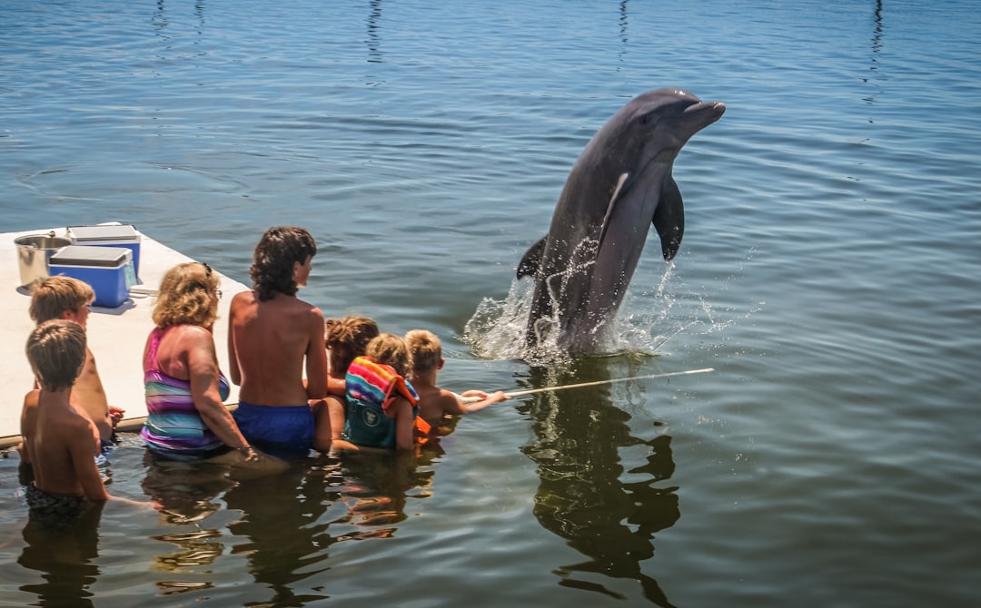 Florida Keys activities family boat tour - Florida Keys activities