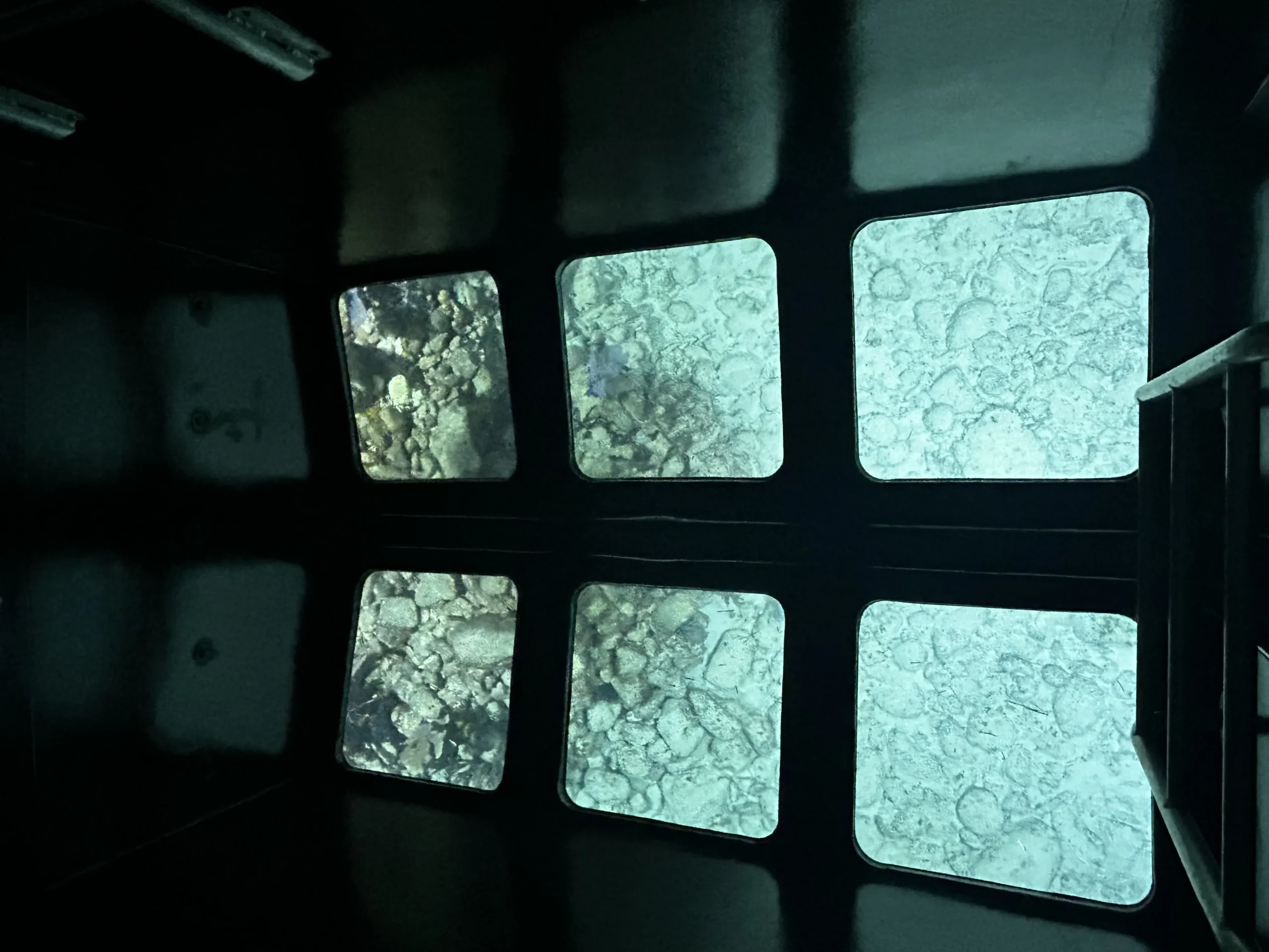 Underwater view of tropical fish and coral reefs seen from a glass bottom boat in Islamorada